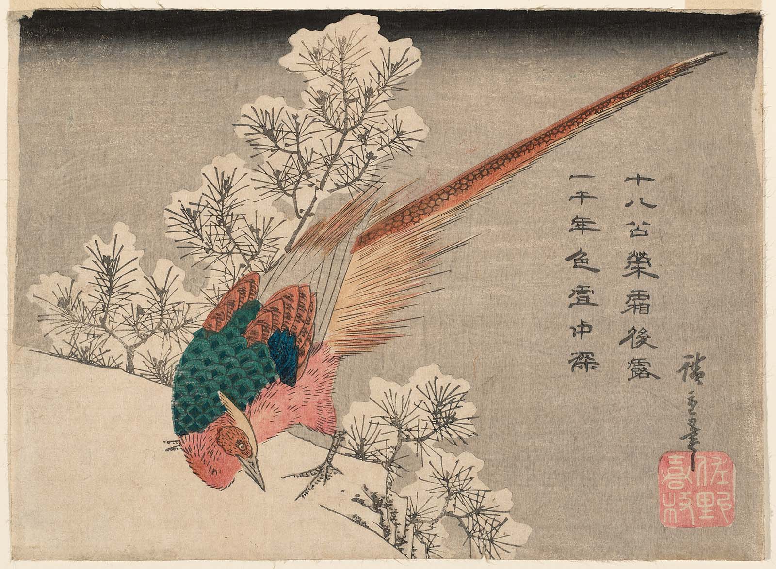 Hiroshiges - Golden Pheasant and Snow-Covered Pine - Chūban Format