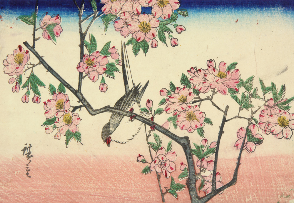 Hiroshiges - Great Titmouse in a Cherry Tree - Chūban Format