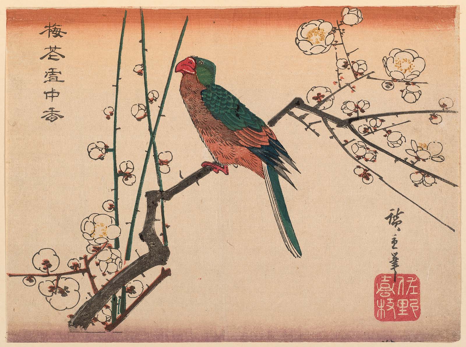 Hiroshiges - Macaw on Plum Branch - Chūban Format