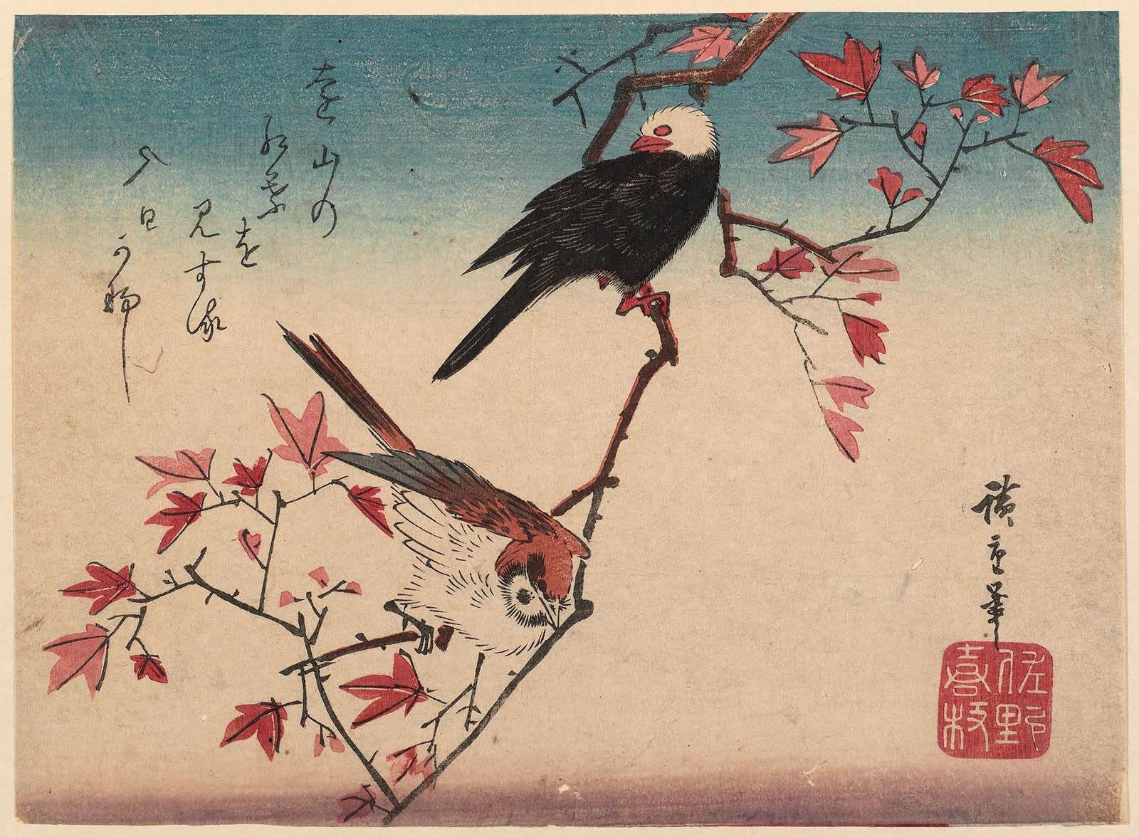 Hiroshiges - Sparrow and White-headed Bird on Maple Branch - Chūban Format