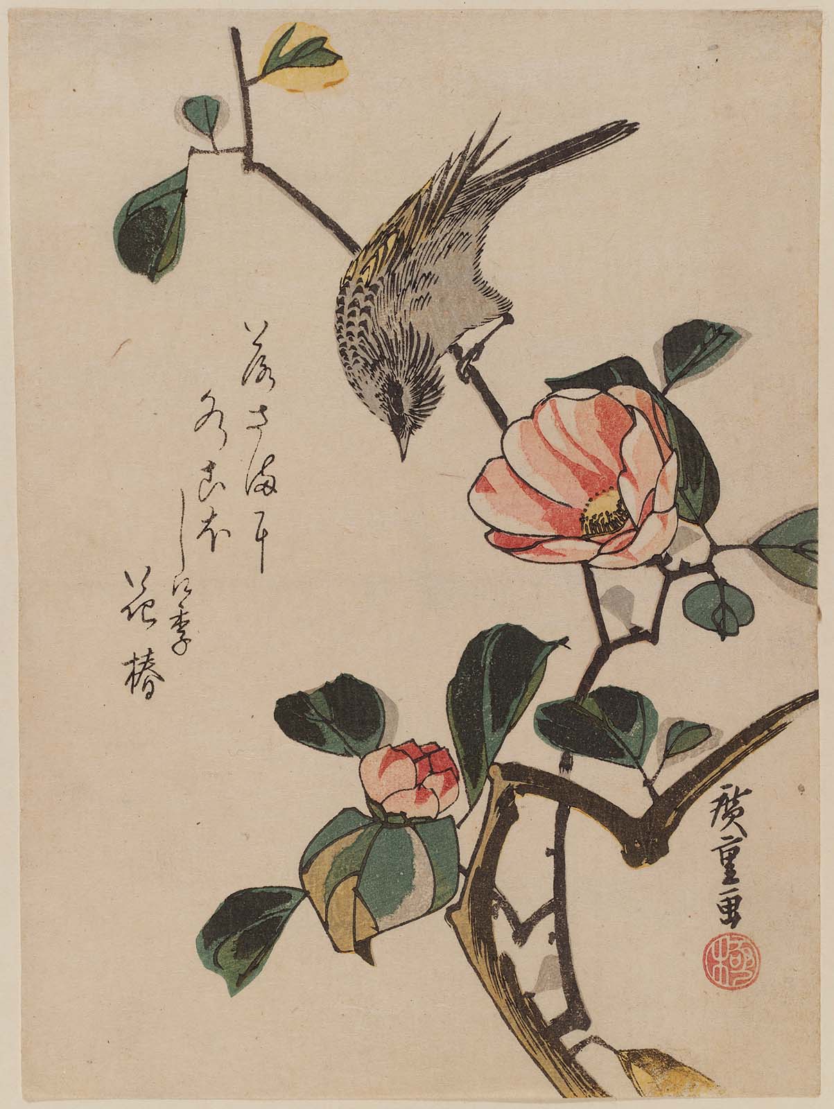 Hiroshiges - Bird on Camellia Branch - Chūban Format