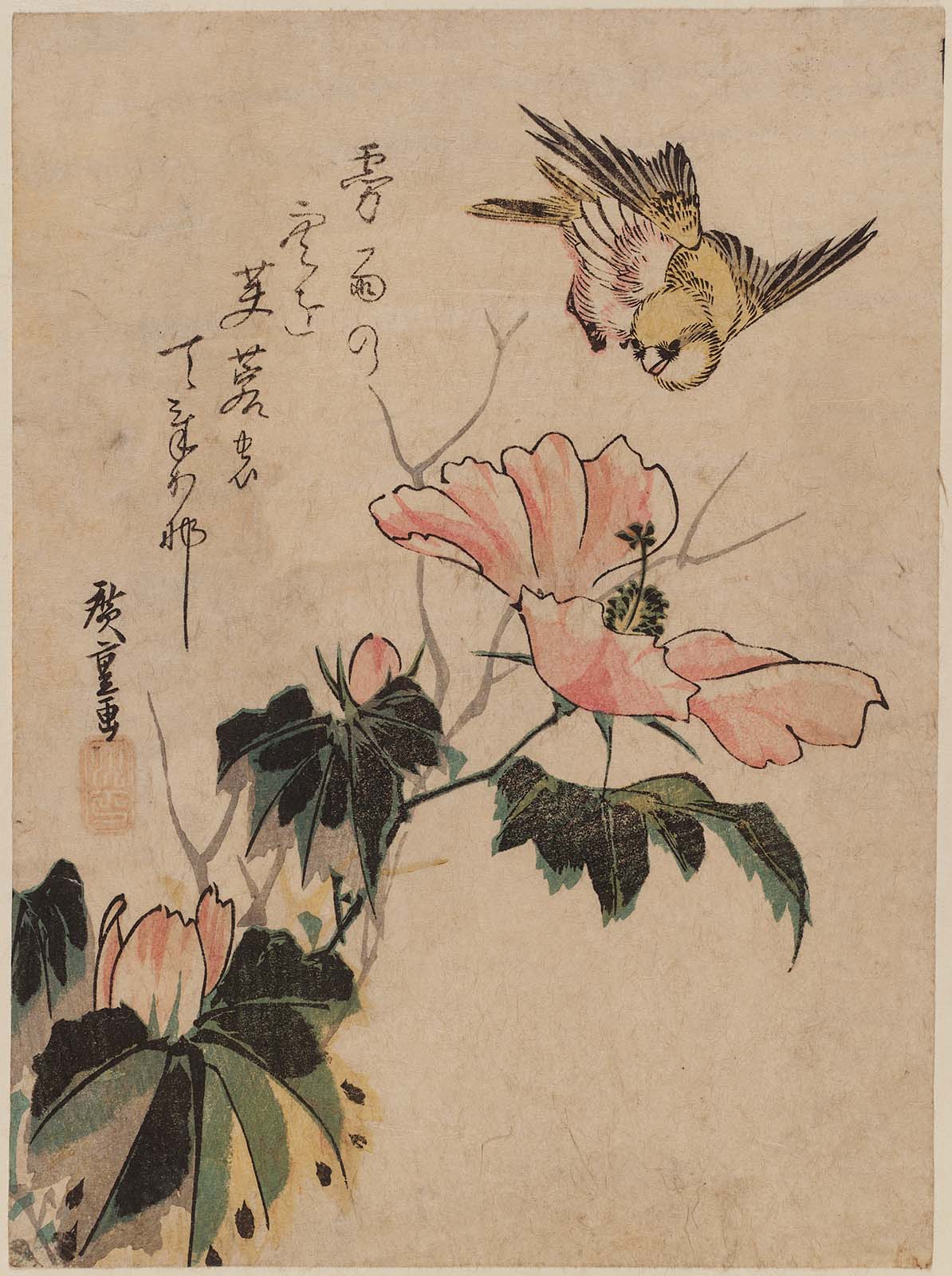 Hiroshiges - Bird and Hibiscus - Chūban Format