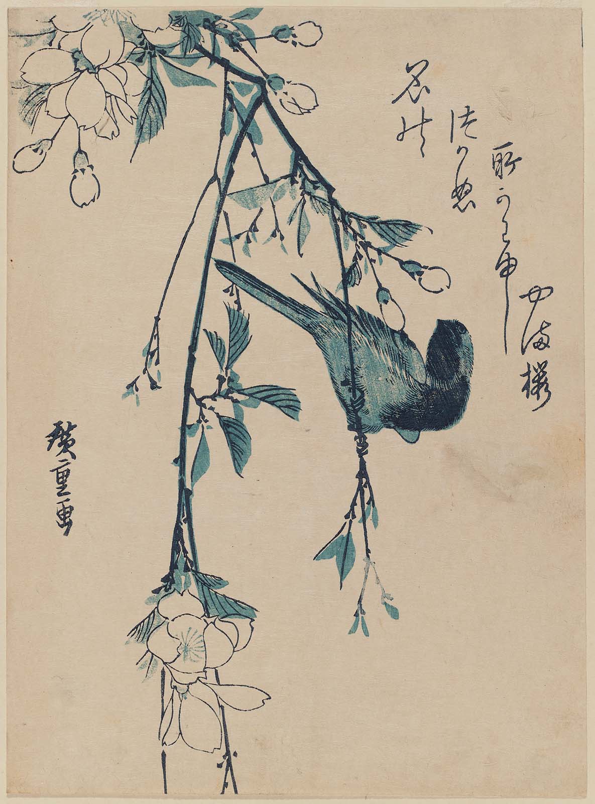 Hiroshiges - Bird and Mountain Cherry - Chūban Format