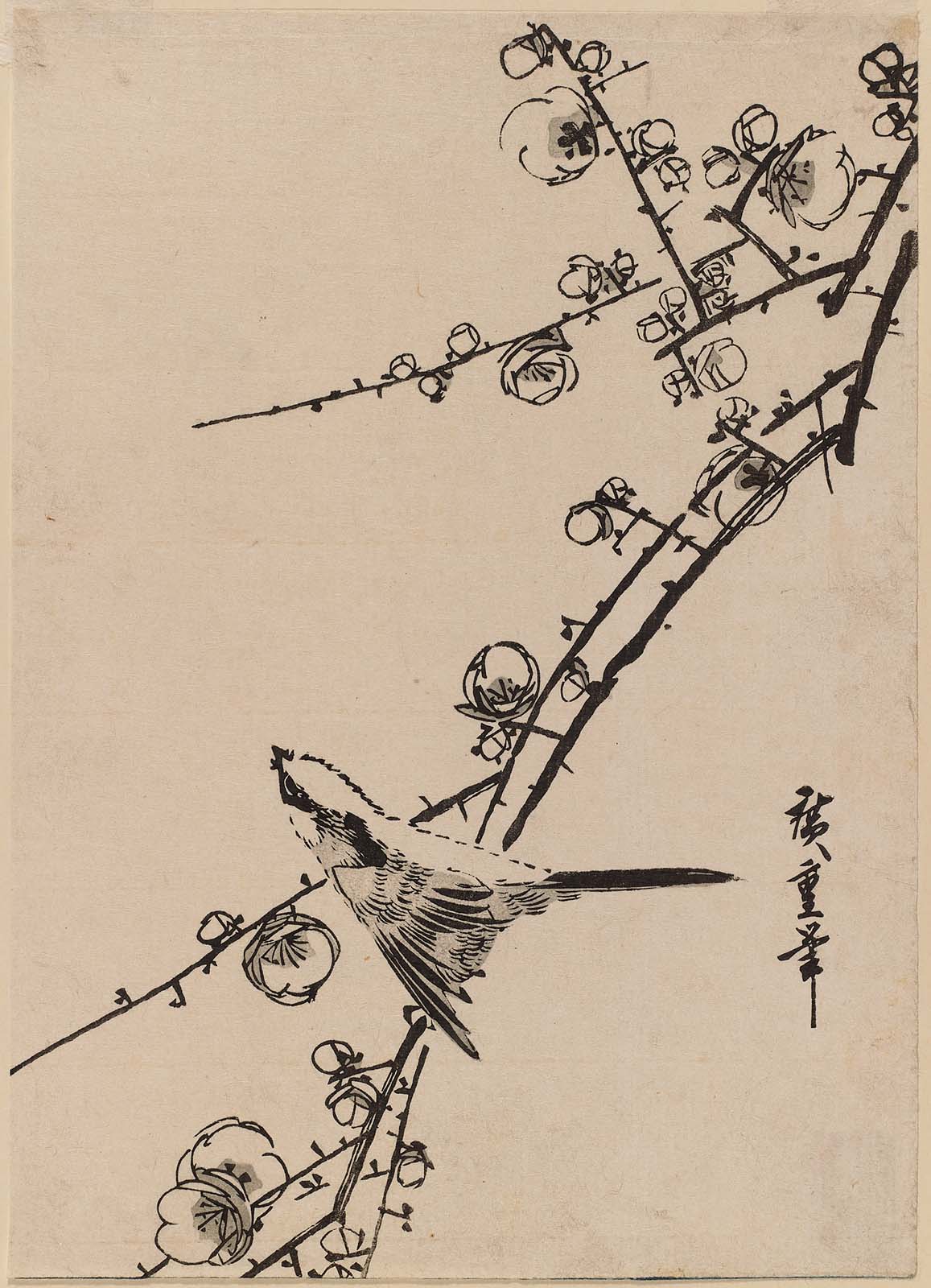 Hiroshiges - Bird on Plum Branch - Chūban Format