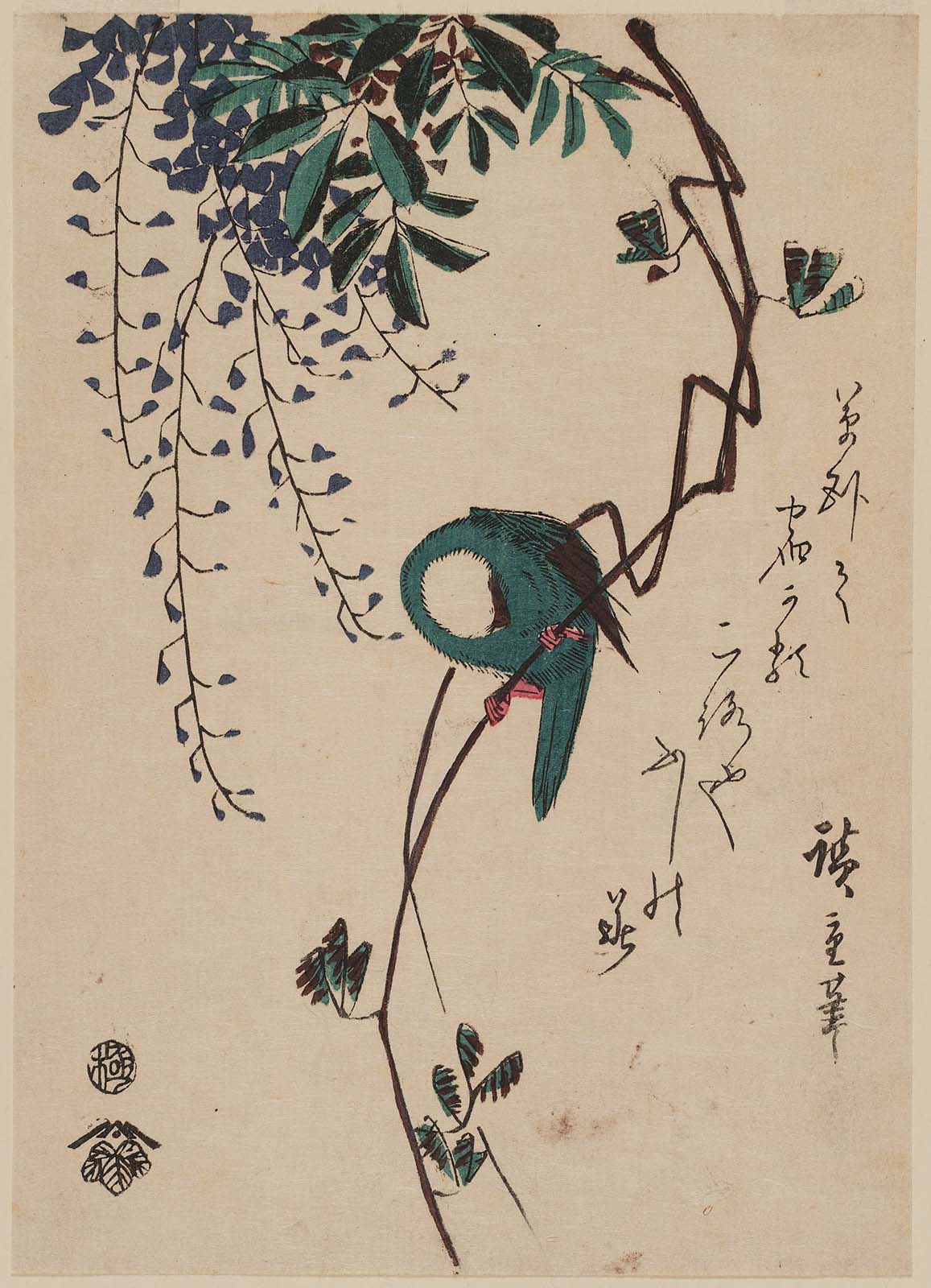 Hiroshiges - Bird on Wisteria Vine - Chūban Format