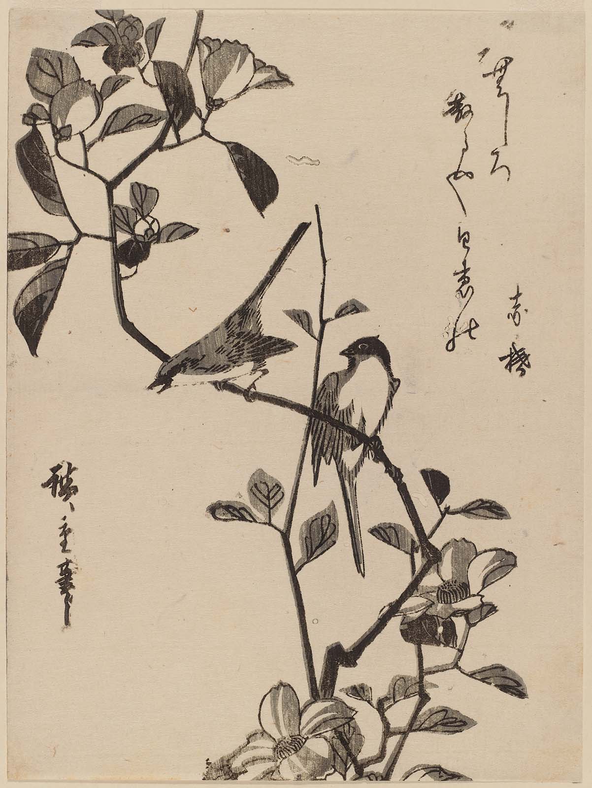 Hiroshiges - Birds on Camellia Branch - Chūban Format