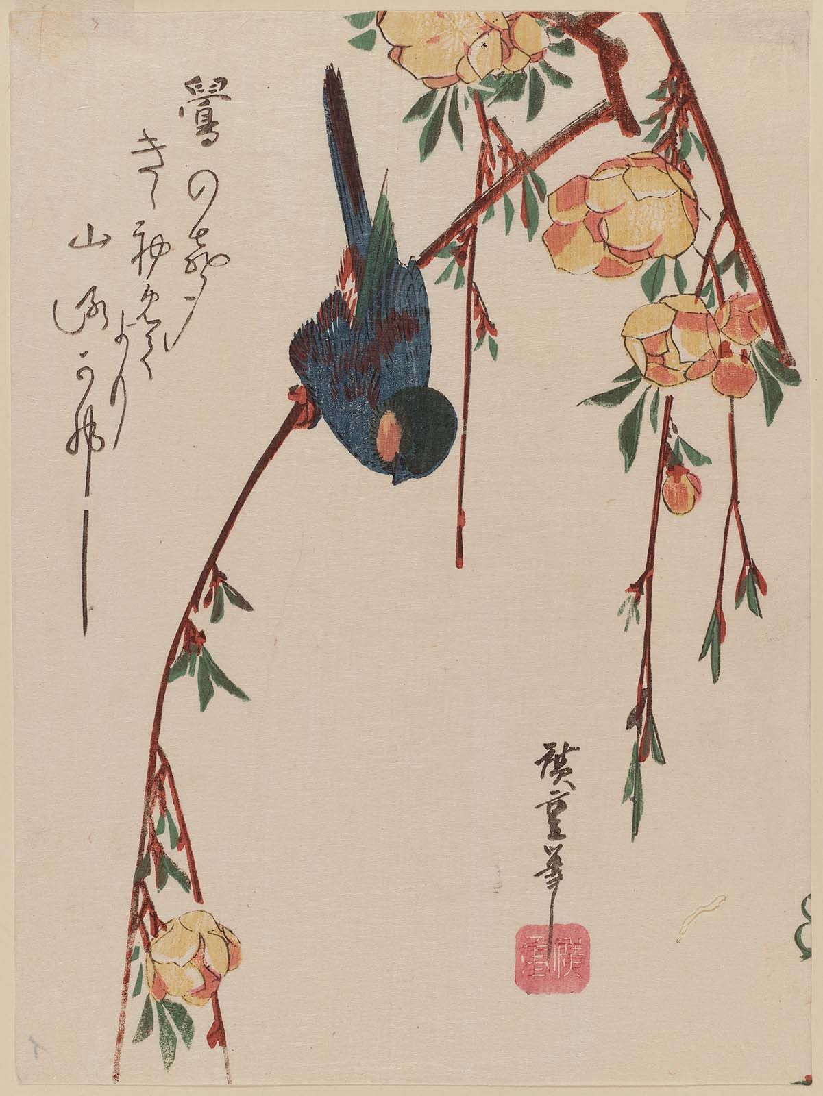 Hiroshiges - Bulfinch on Yamabuki Branch - Chūban Format