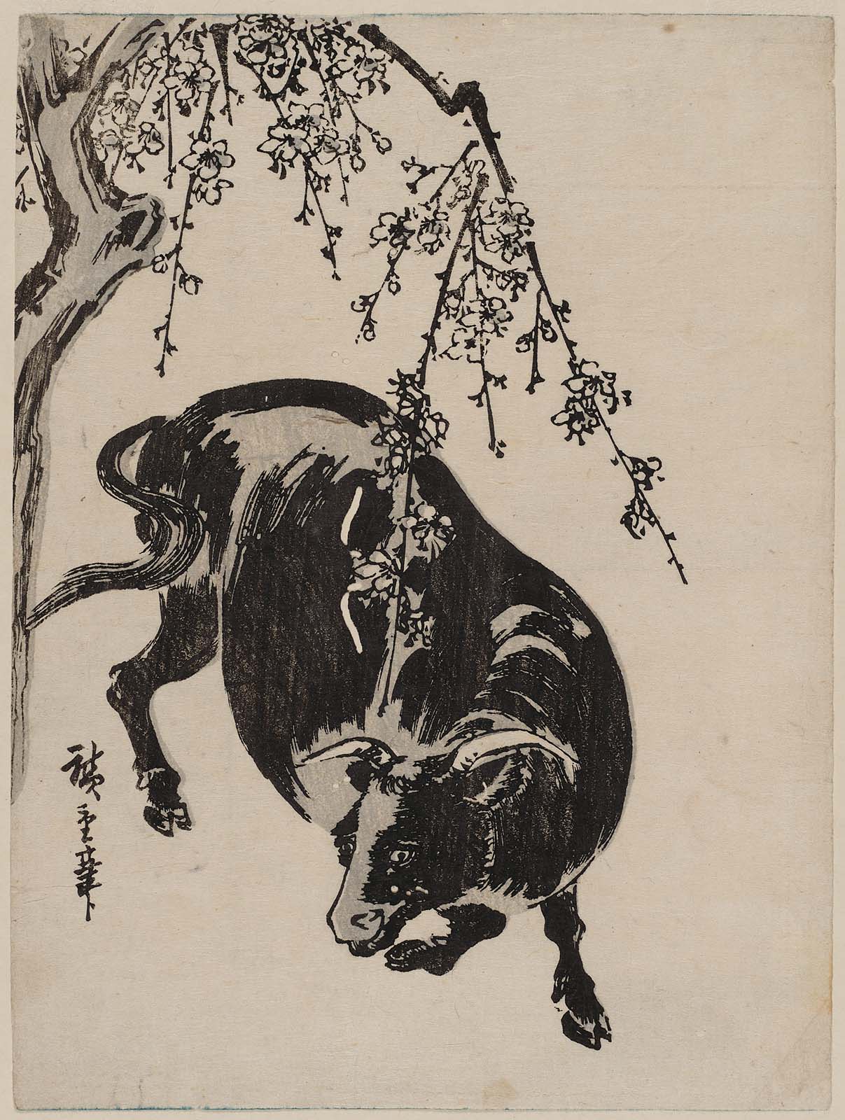 Hiroshiges - Bull under Cherry Tree - Chūban Format