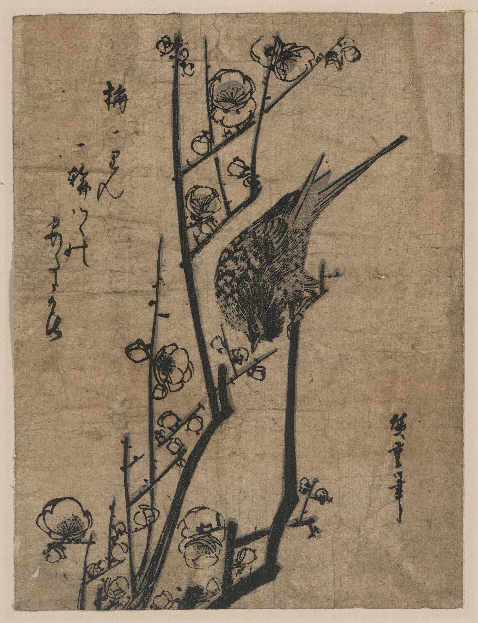 Hiroshiges - Bush Warbler on the Blossoming Branch of a Plum Tree (Ume ni uguisu) - Chūban Format