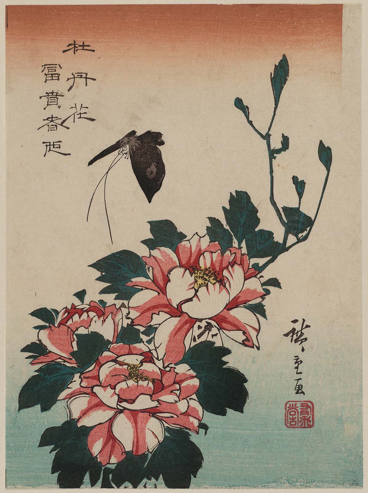 Hiroshiges - Butterfly and Peonies - Chūban Format