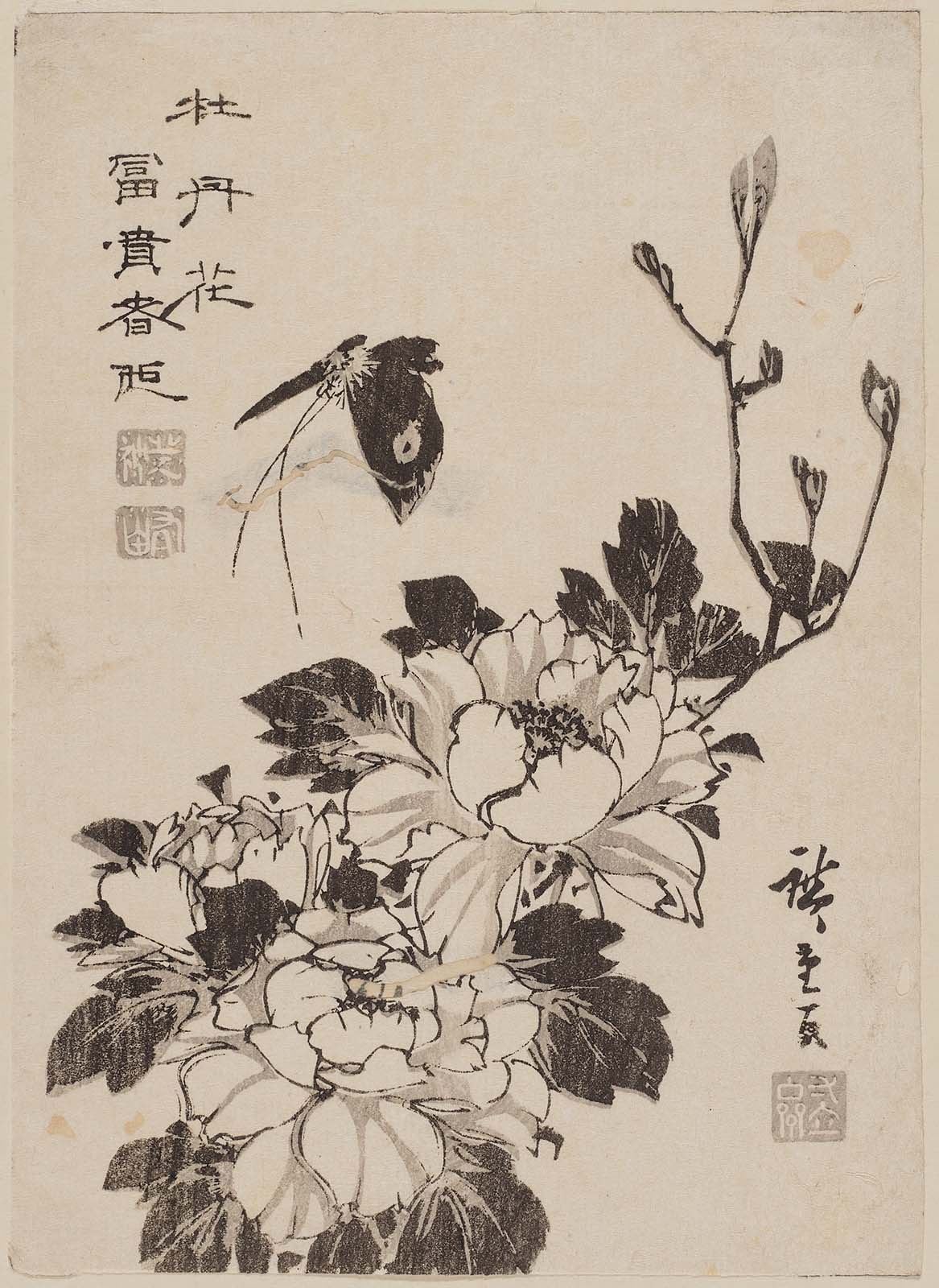 Hiroshiges - Butterfly and Peonies - Chūban Format