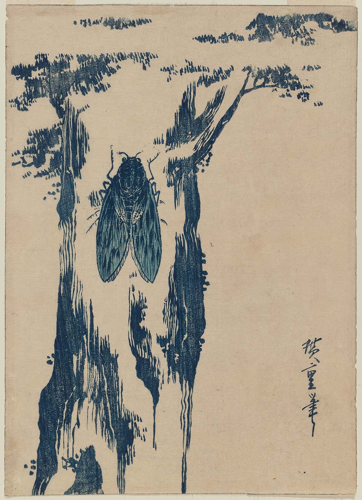 Hiroshiges - Cicada on a Tree Trunk - Chūban Format