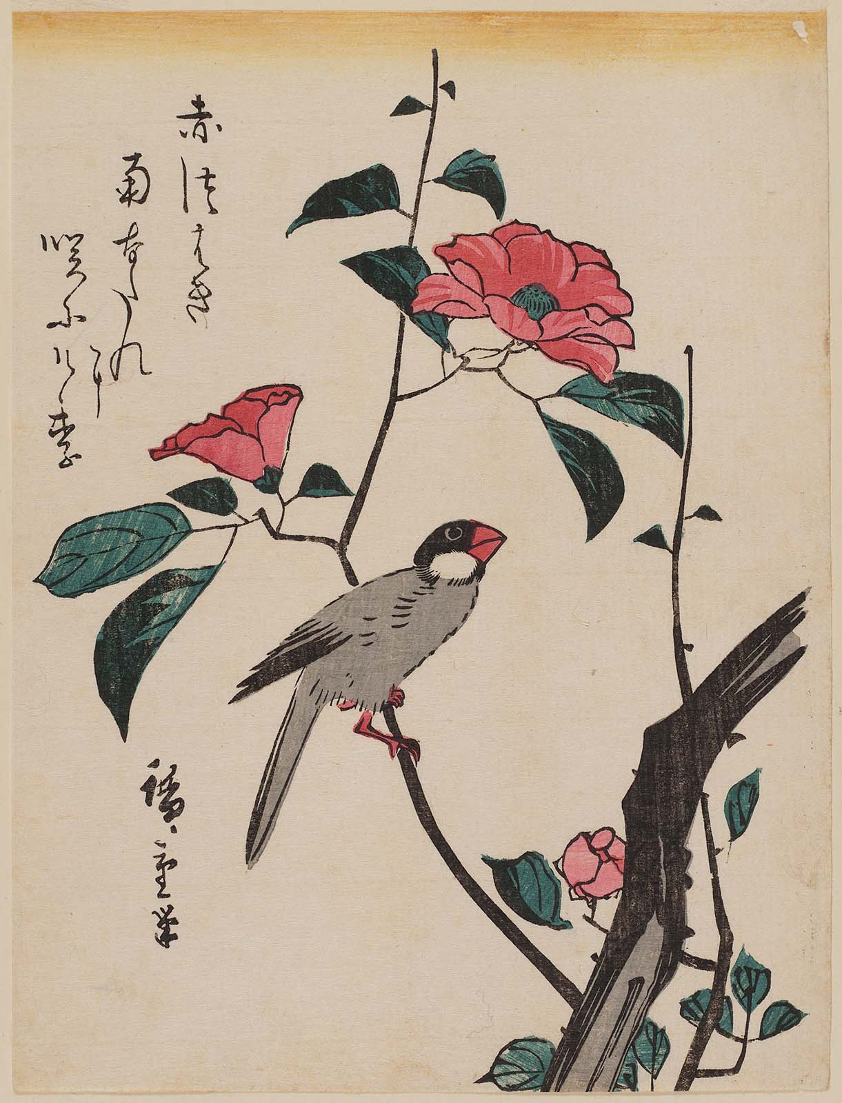 Hiroshiges - Finch on Camellia - Chūban Format