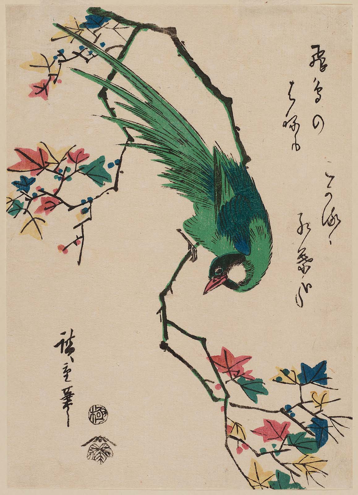 Hiroshiges - Green Pheasant on Maple Branch - Chūban Format