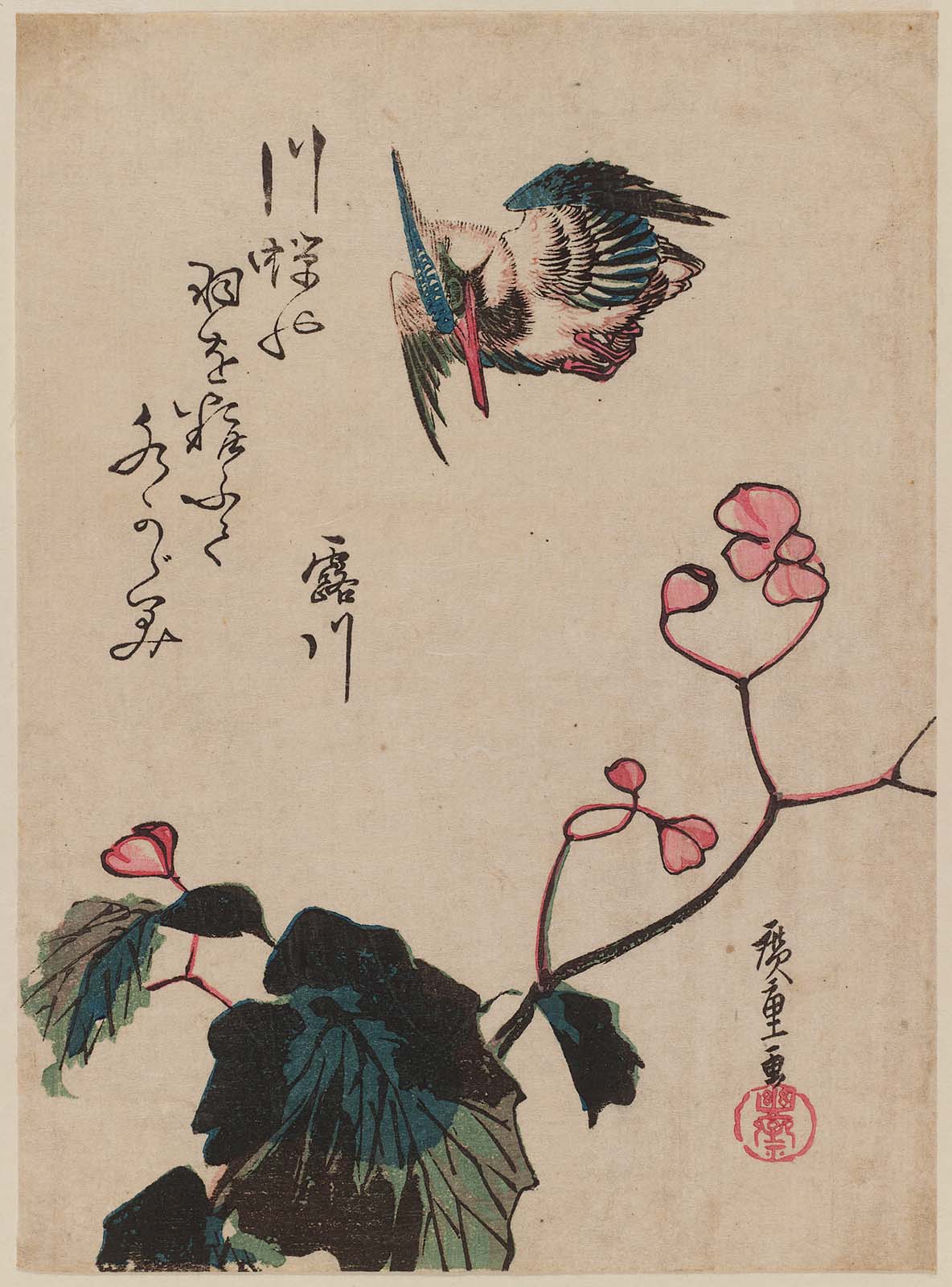 Hiroshiges - Kingfisher and Begonia - Chūban Format