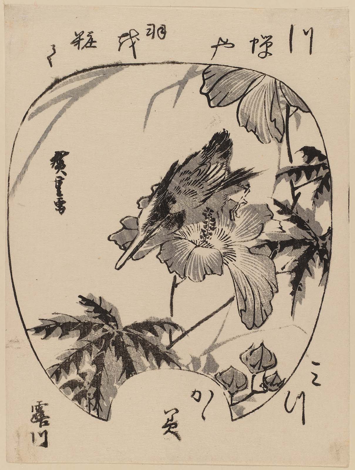 Hiroshiges - Kingfisher and Hibiscus in Fan Shape - Chūban Format