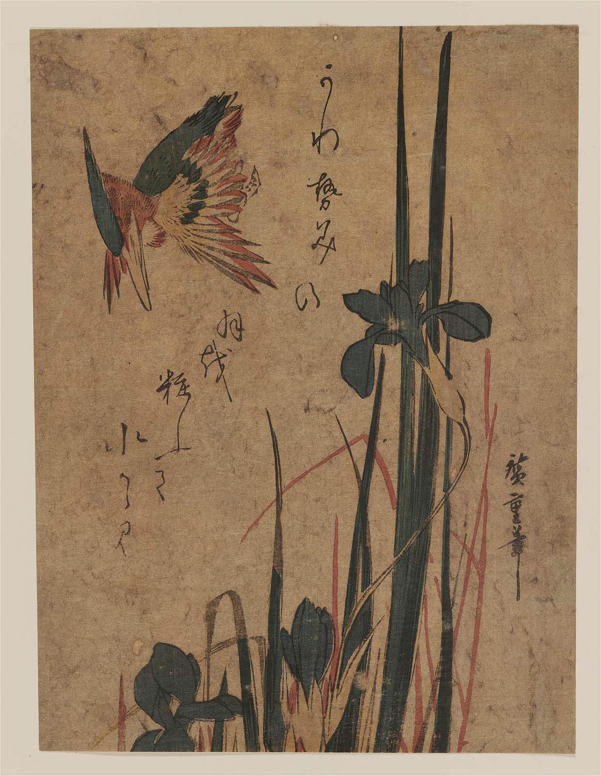 Hiroshiges - Kingfisher and Iris - Chūban Format