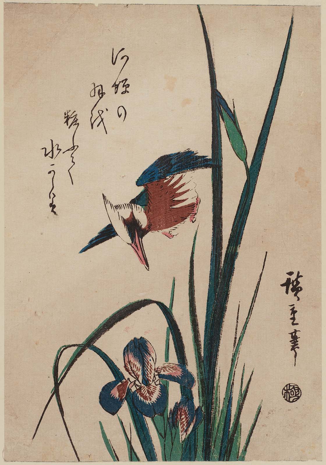 Hiroshiges - Kingfisher and Iris - Chūban Format