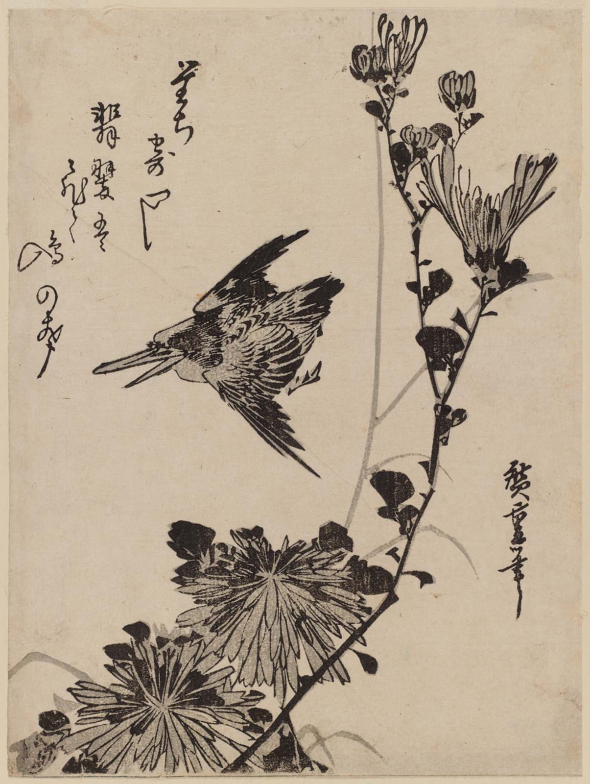 Hiroshiges - Kingfisher and Wild Chrysanthemums - Chūban Format