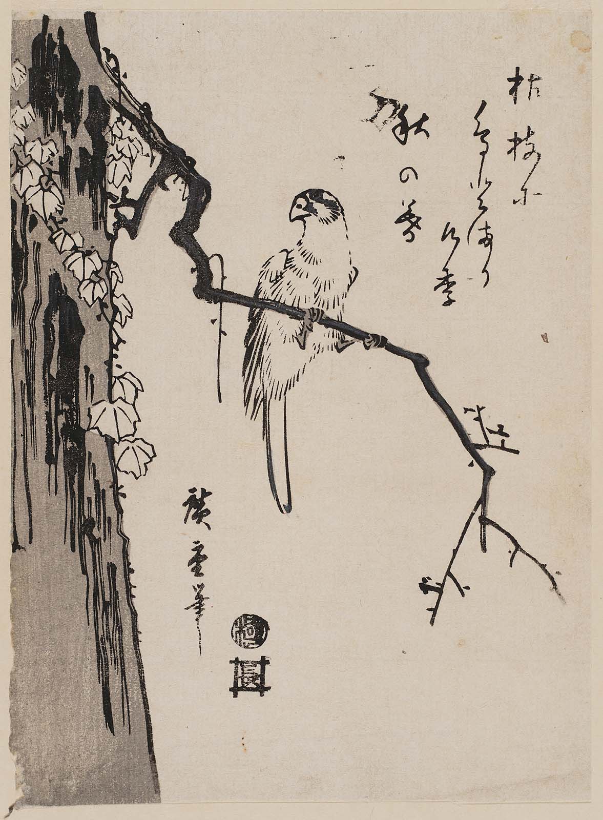 Hiroshiges - Macaw on Branch of Ivy-covered Tree - Chūban Format