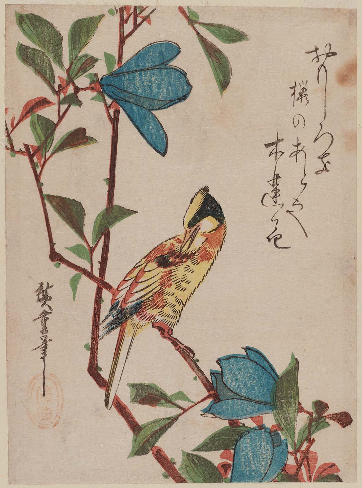 Hiroshiges - Magnolia and Black-naped Oriole - Chūban Format