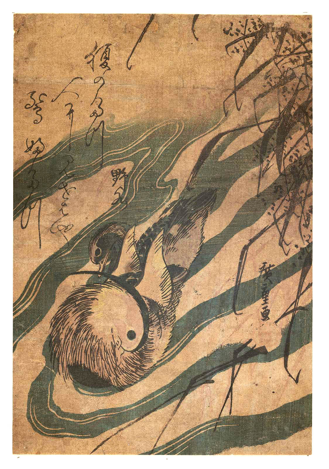 Hiroshiges - Mandarin Ducks and Reeds - Chūban Format