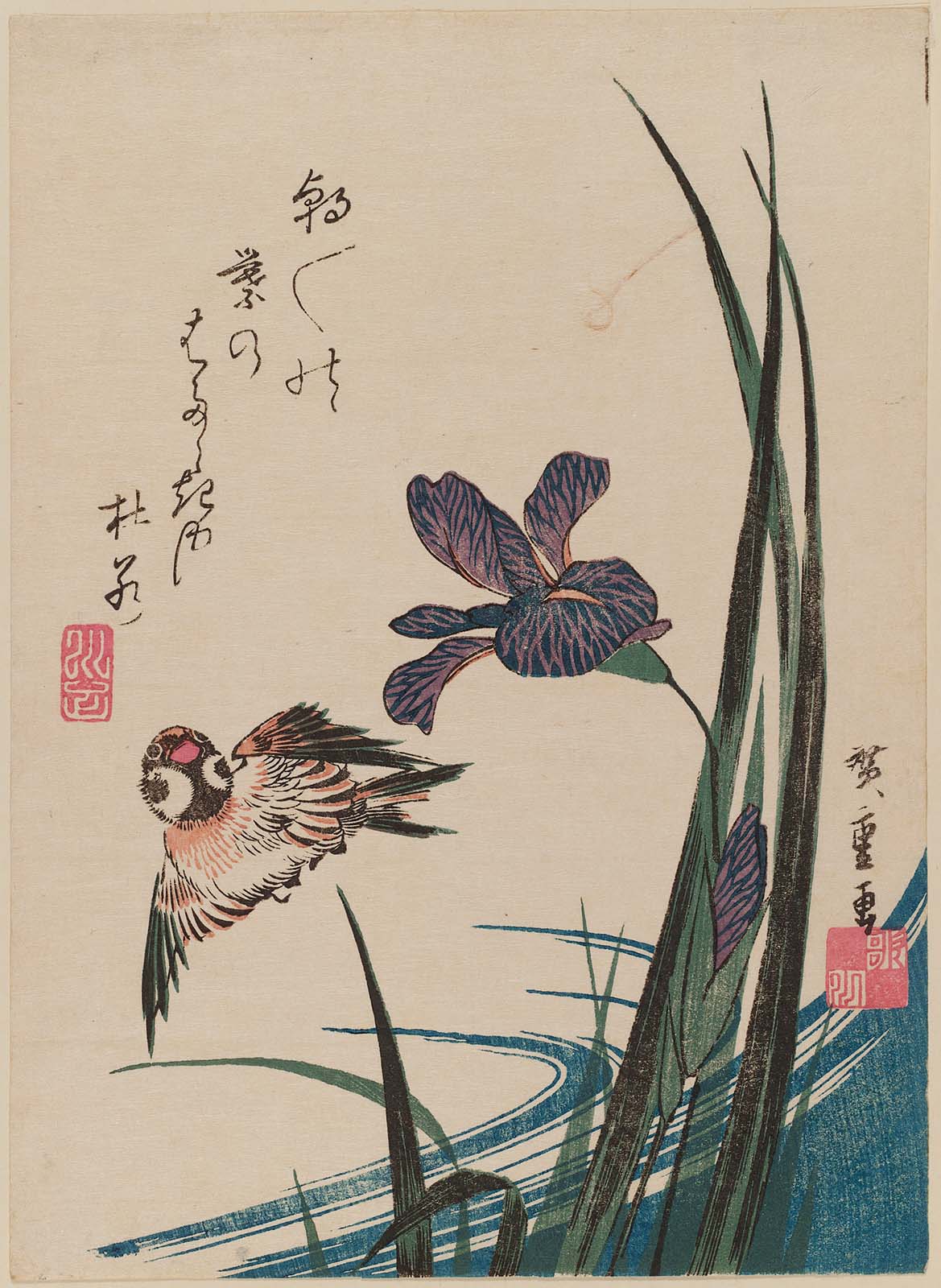 Hiroshiges - Sparrow and Iris - Chūban Format