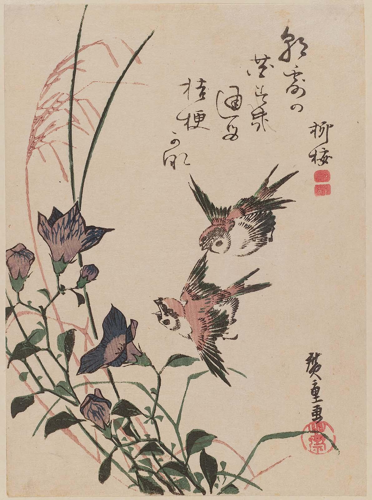 Hiroshiges - Swallows and Bellflowers - Chūban Format