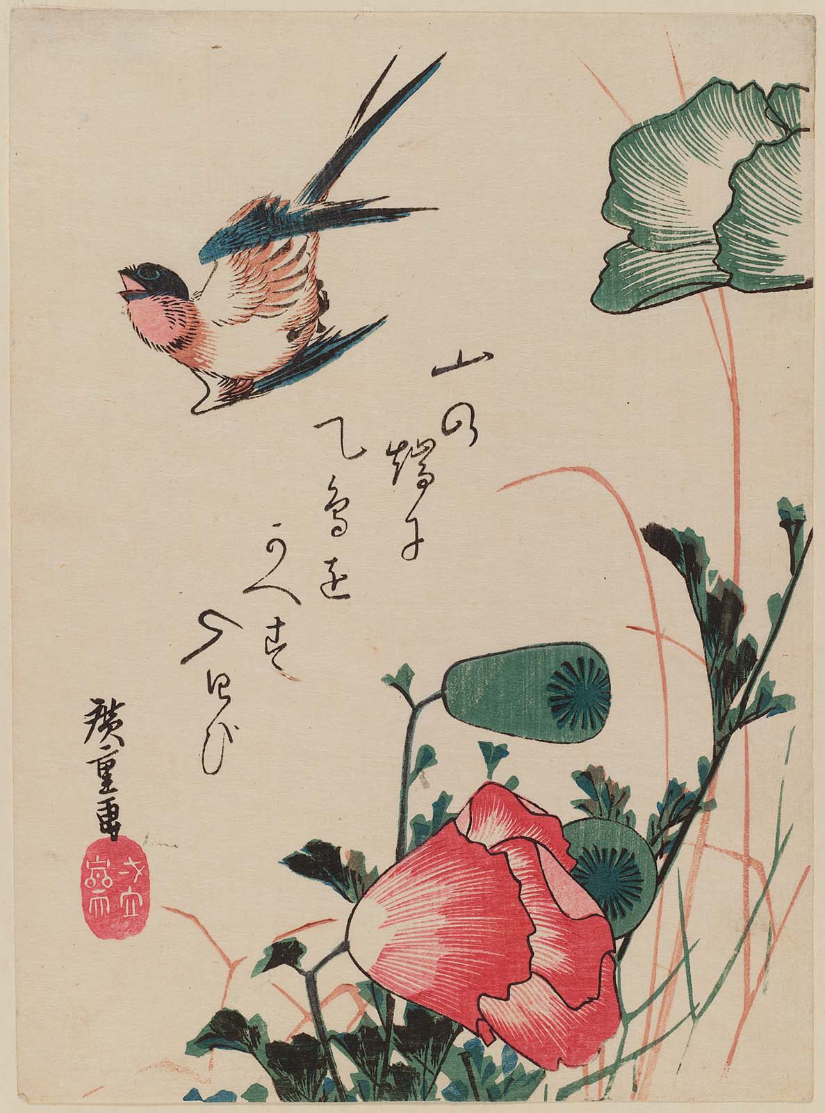 Hiroshiges - Swallow and Poppies - Chūban Format