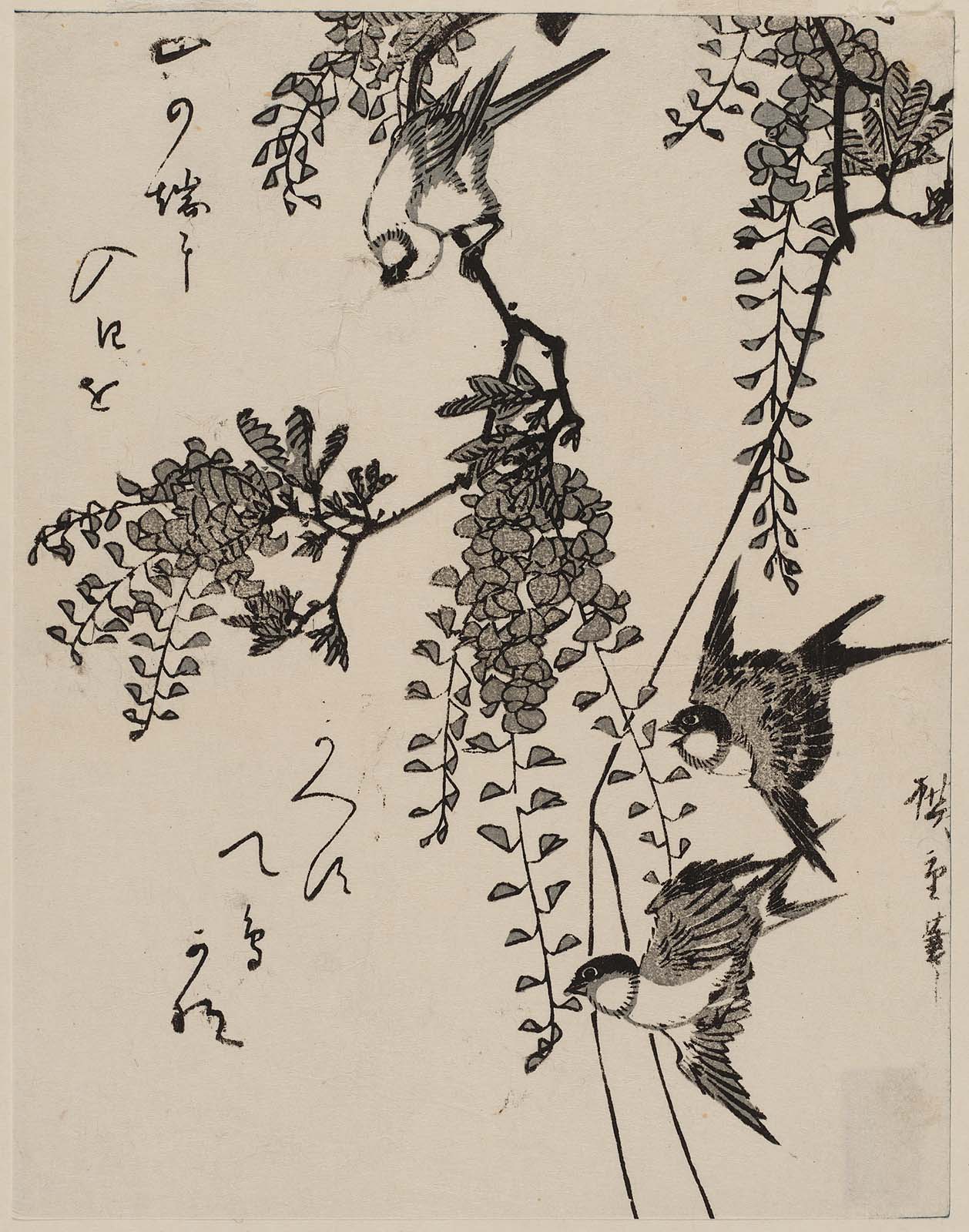 Hiroshiges - Swallows, Small Bird, and Wisteria - Chūban Format