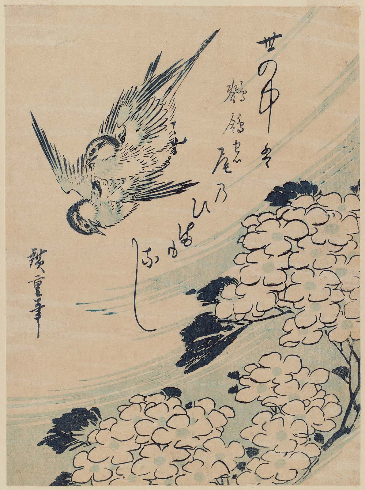 Hiroshiges - Wagtails and Hydrangea - Chūban Format