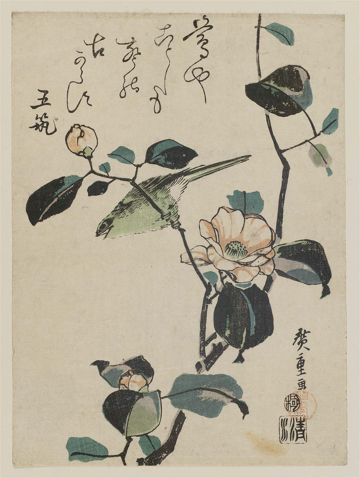 Hiroshiges - Warbler on Camellia Branch - Chūban Format