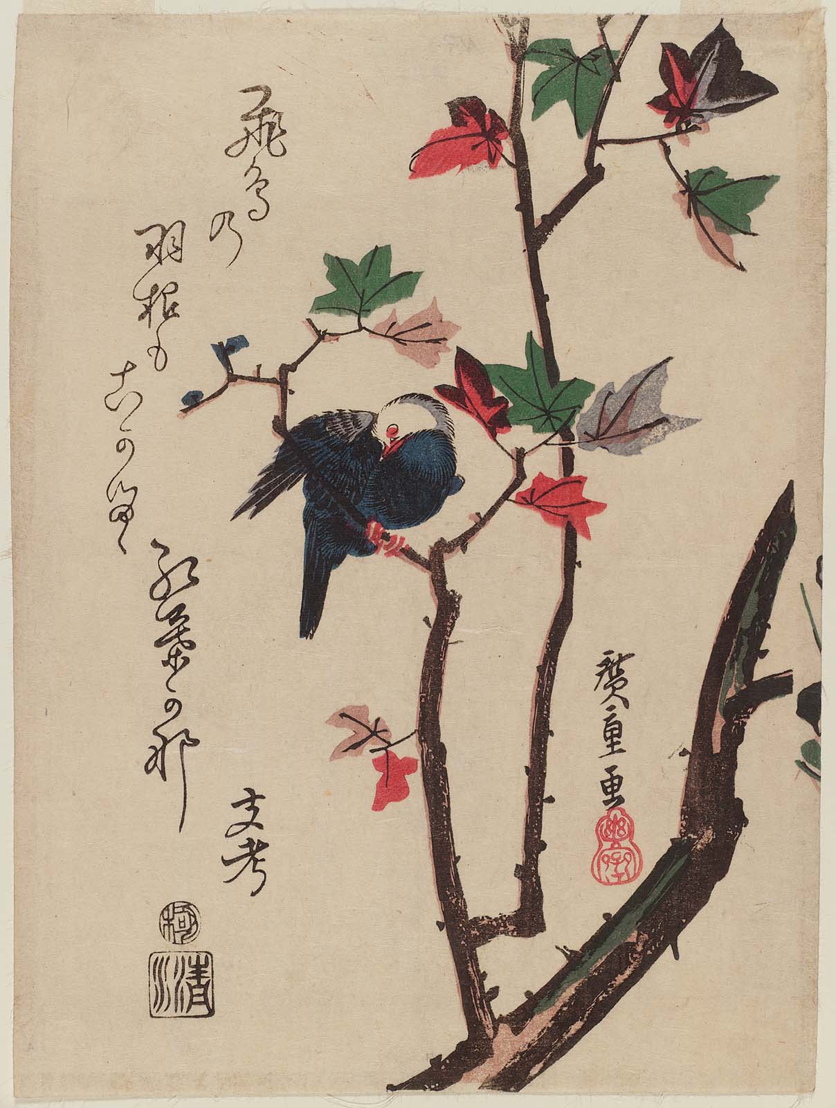 Hiroshiges - White-headed Bird on Maple Branch - Chūban Format