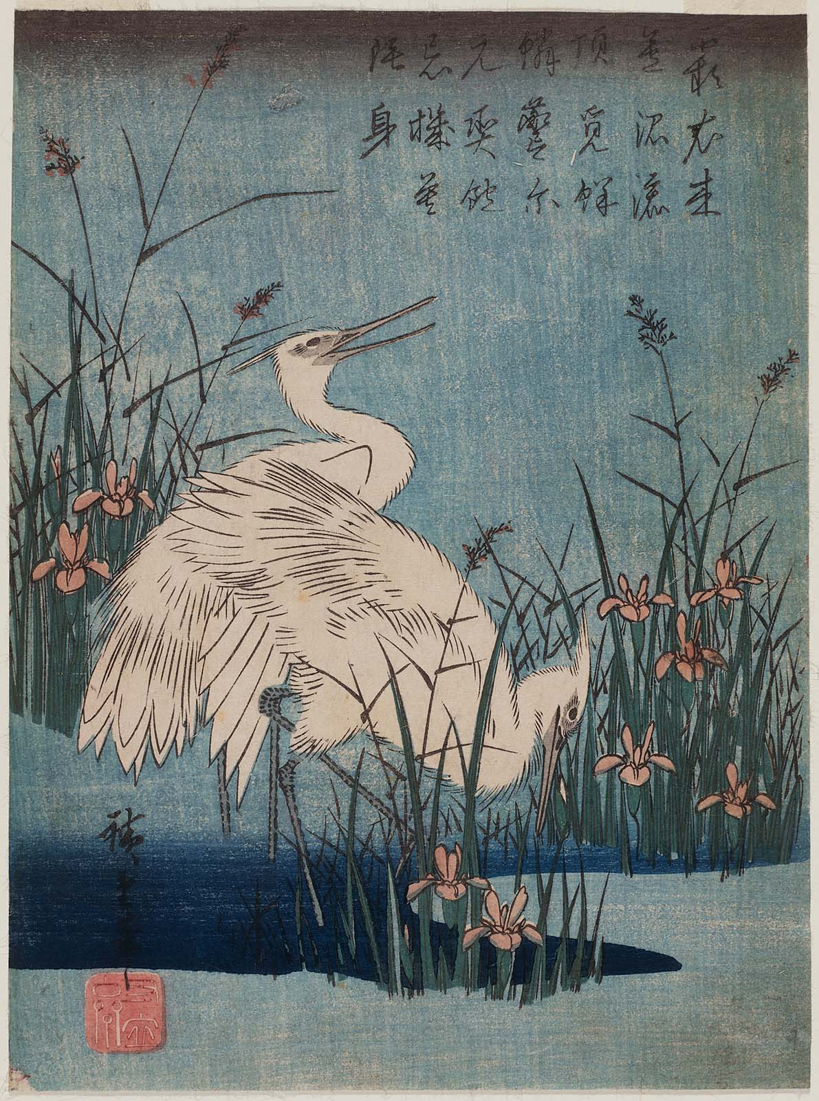 Hiroshiges - White Herons and Iris - Chūban Format