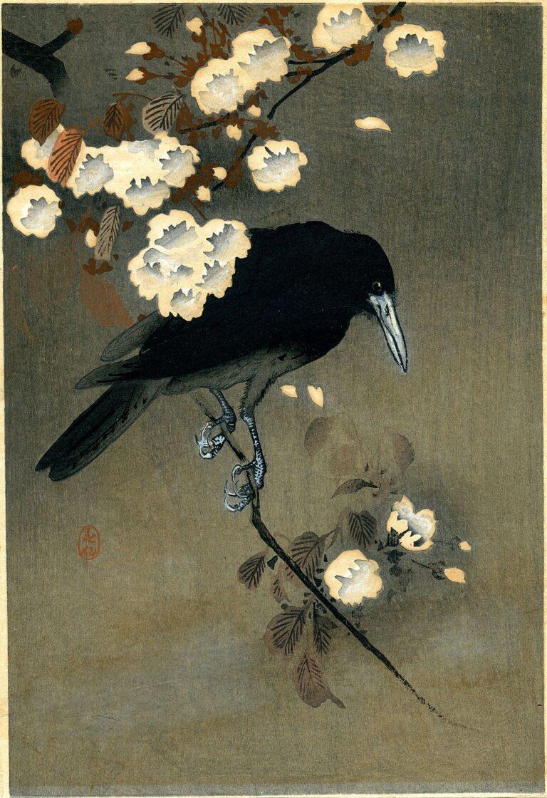 Crow_and_blossom_by_Ohara_Koson