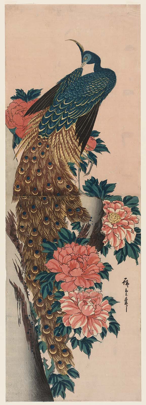 Hiroshiges - Peacock and Peonies - Ōban Diptychs