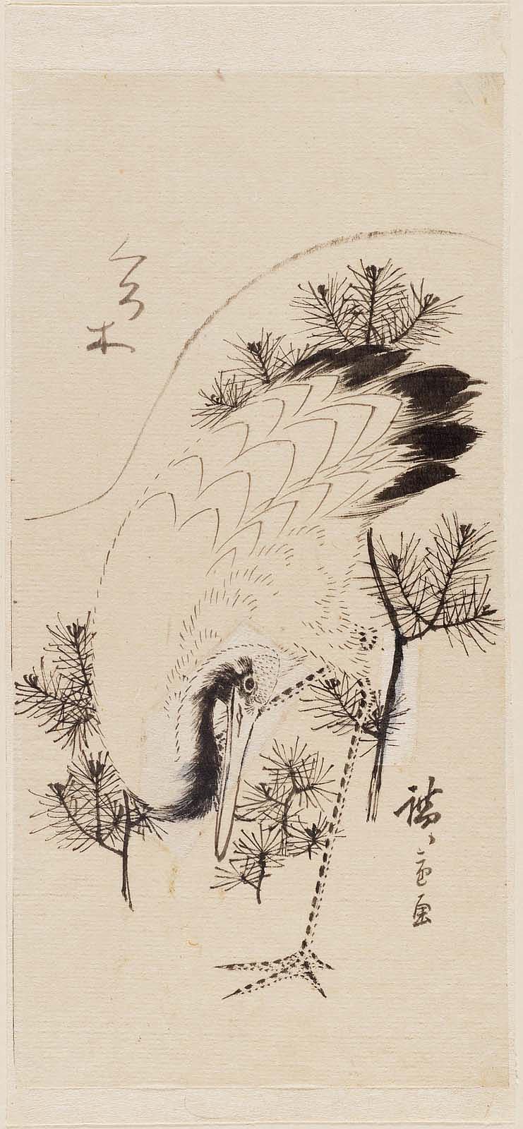 Hiroshiges - Crane and Pine Shoots - Drawings