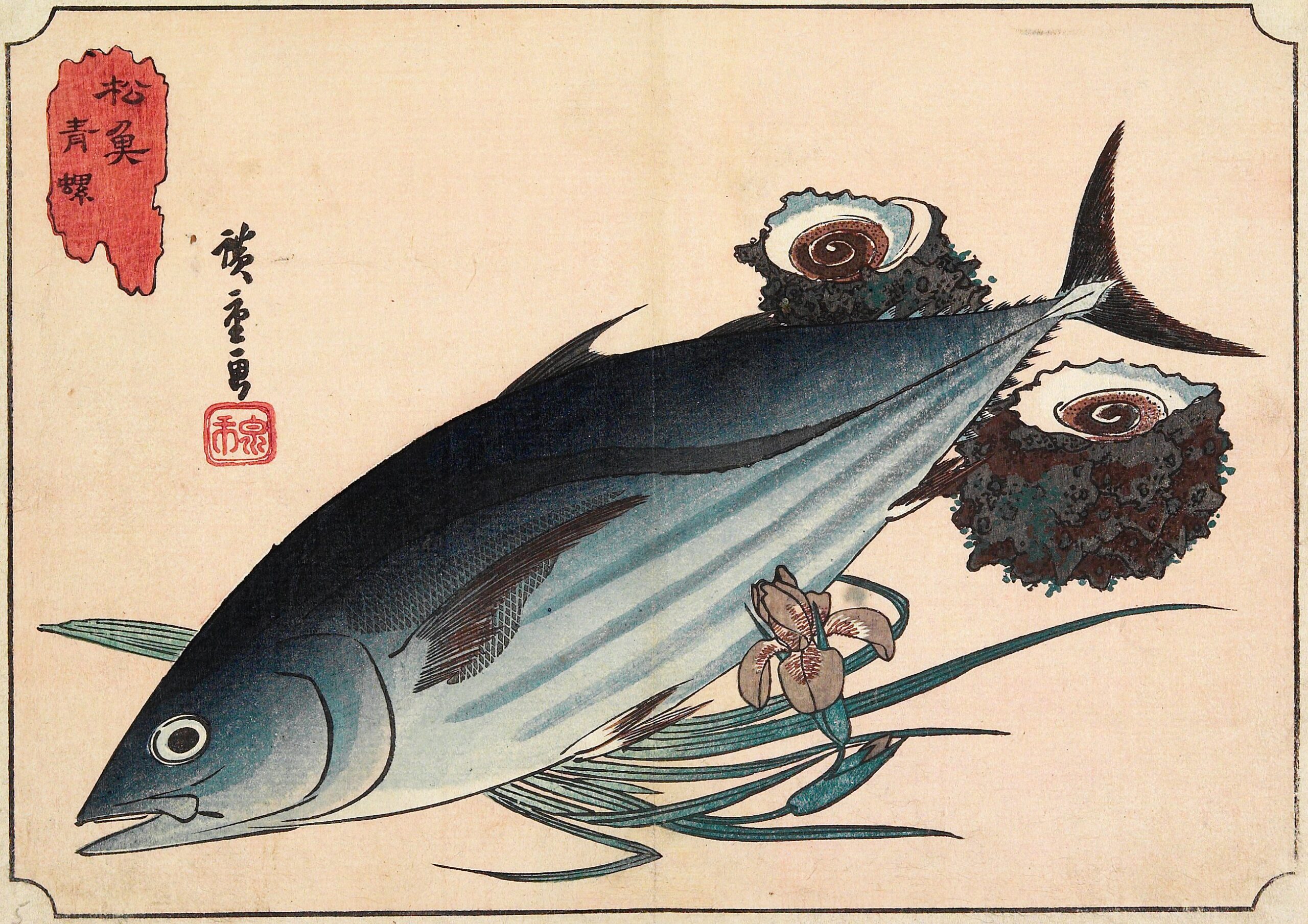 Hiroshiges - Bonito and Top Shells - Untitled series of Fish (1835-39)