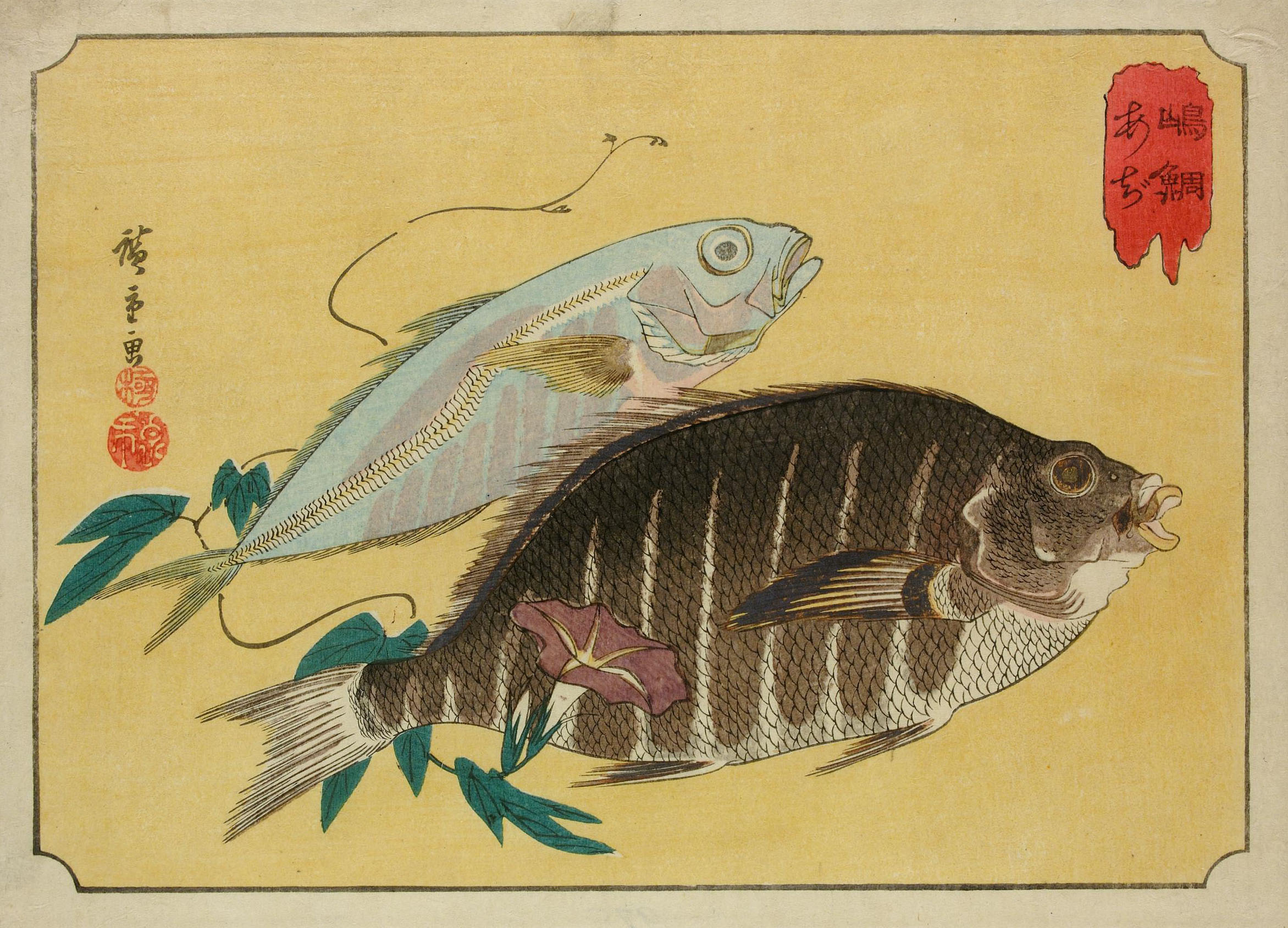 Hiroshiges - Bream and Horse Mackerel - Untitled series of Fish (1835-39)