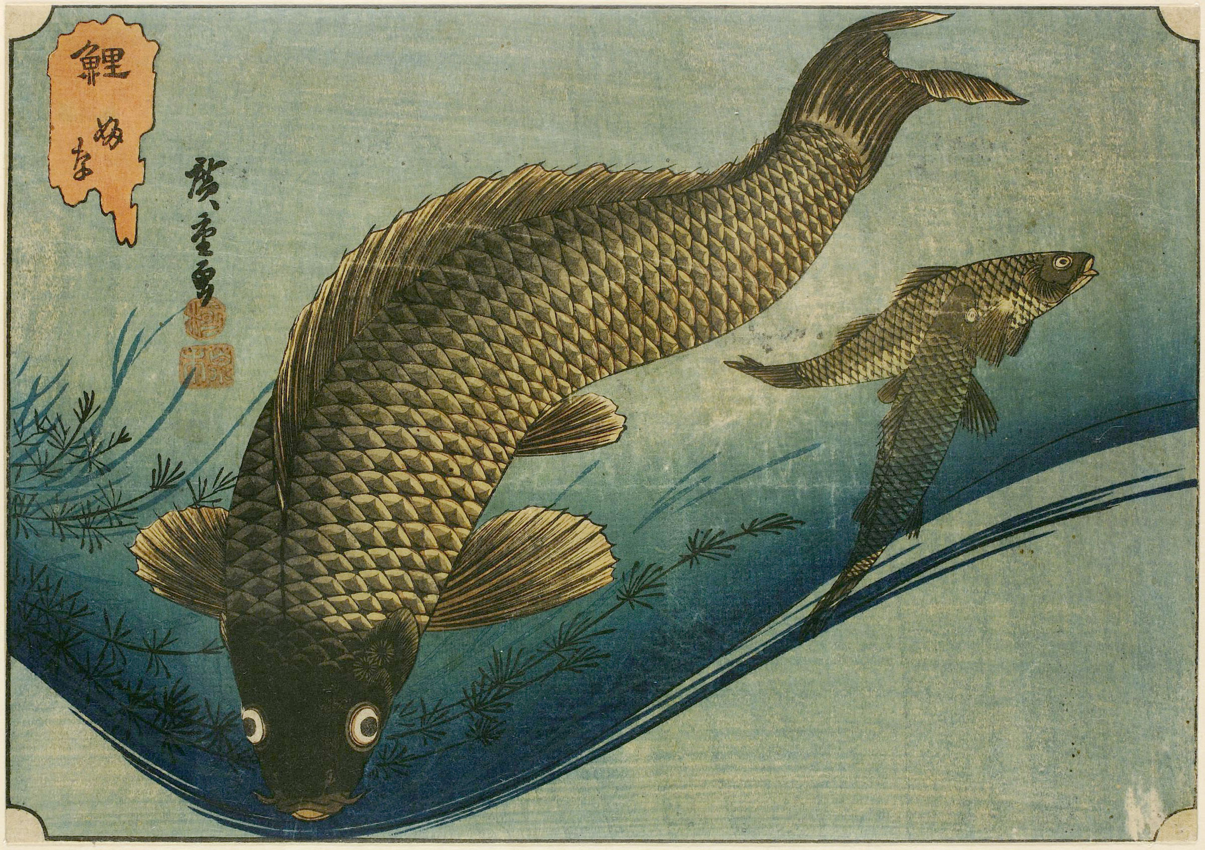 Hiroshiges - Carp and Roaches - Untitled series of Fish (1835-39)