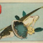 Hiroshiges - Flathead and Abalone - Untitled series of Fish (1835-39)