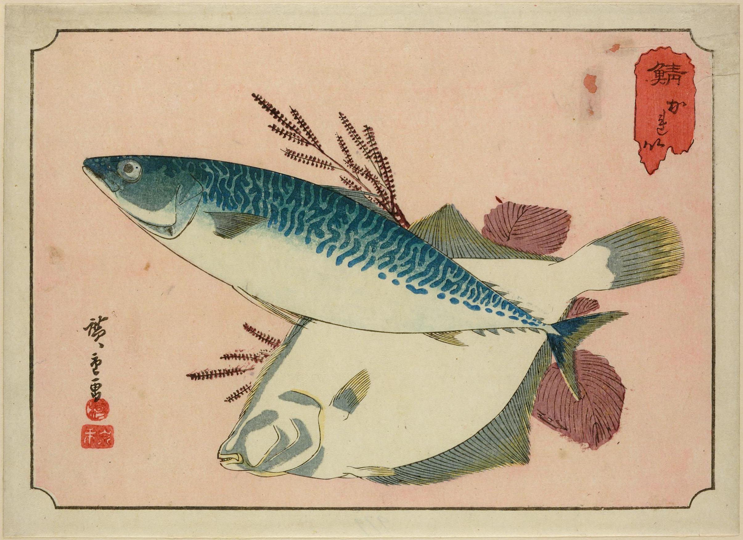 Hiroshiges - Mackerel and Plaice - Untitled series of Fish (1835-39)