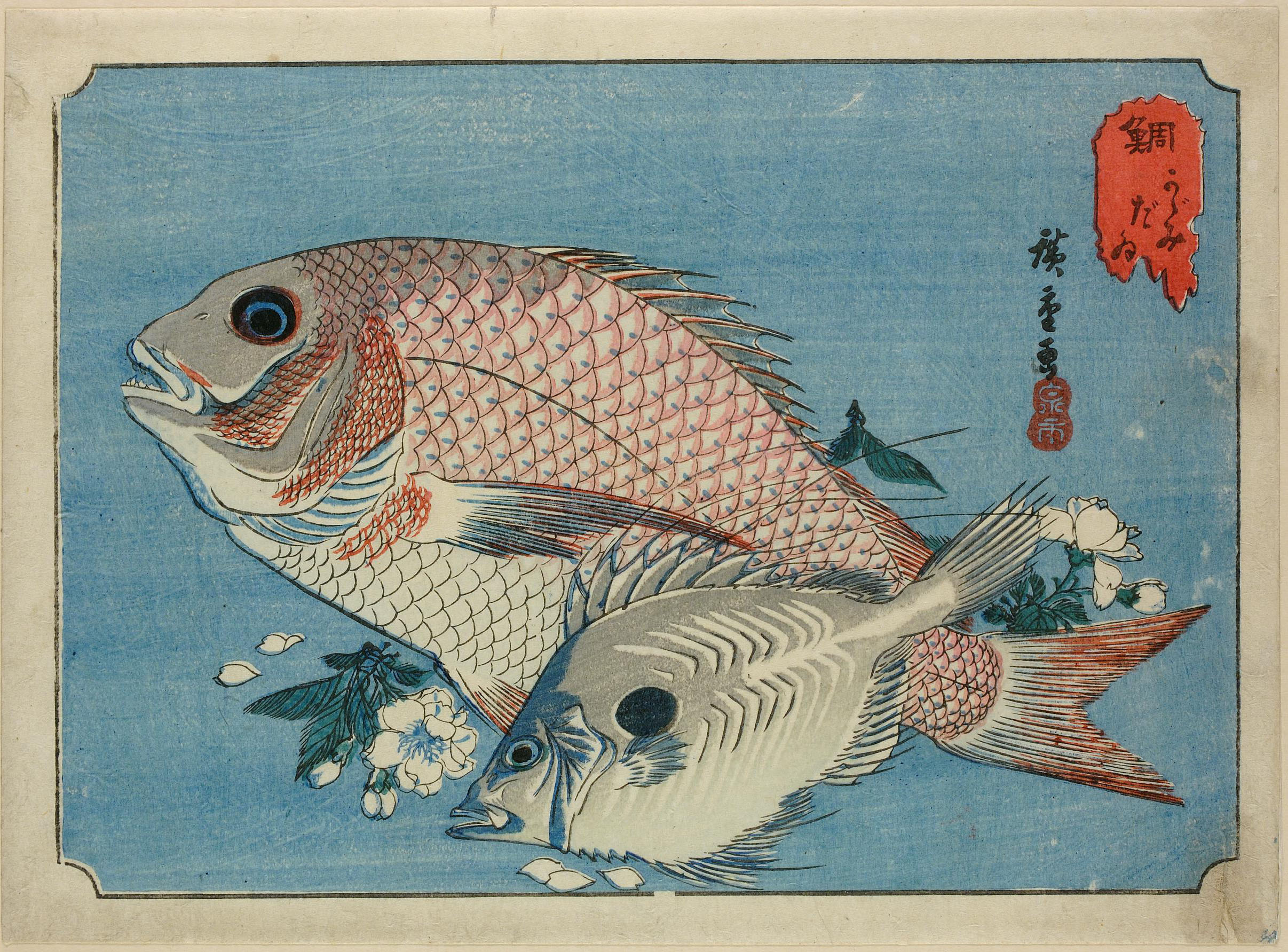 Hiroshiges - Sea Bream and Dory - Untitled series of Fish (1835-39)