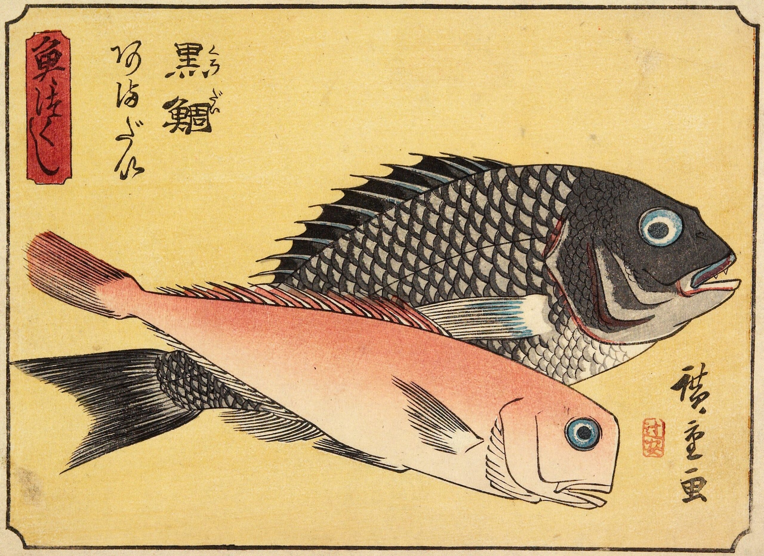 Hiroshiges - Gilthead and Tilefish - A Collection of Fish (1835-39)