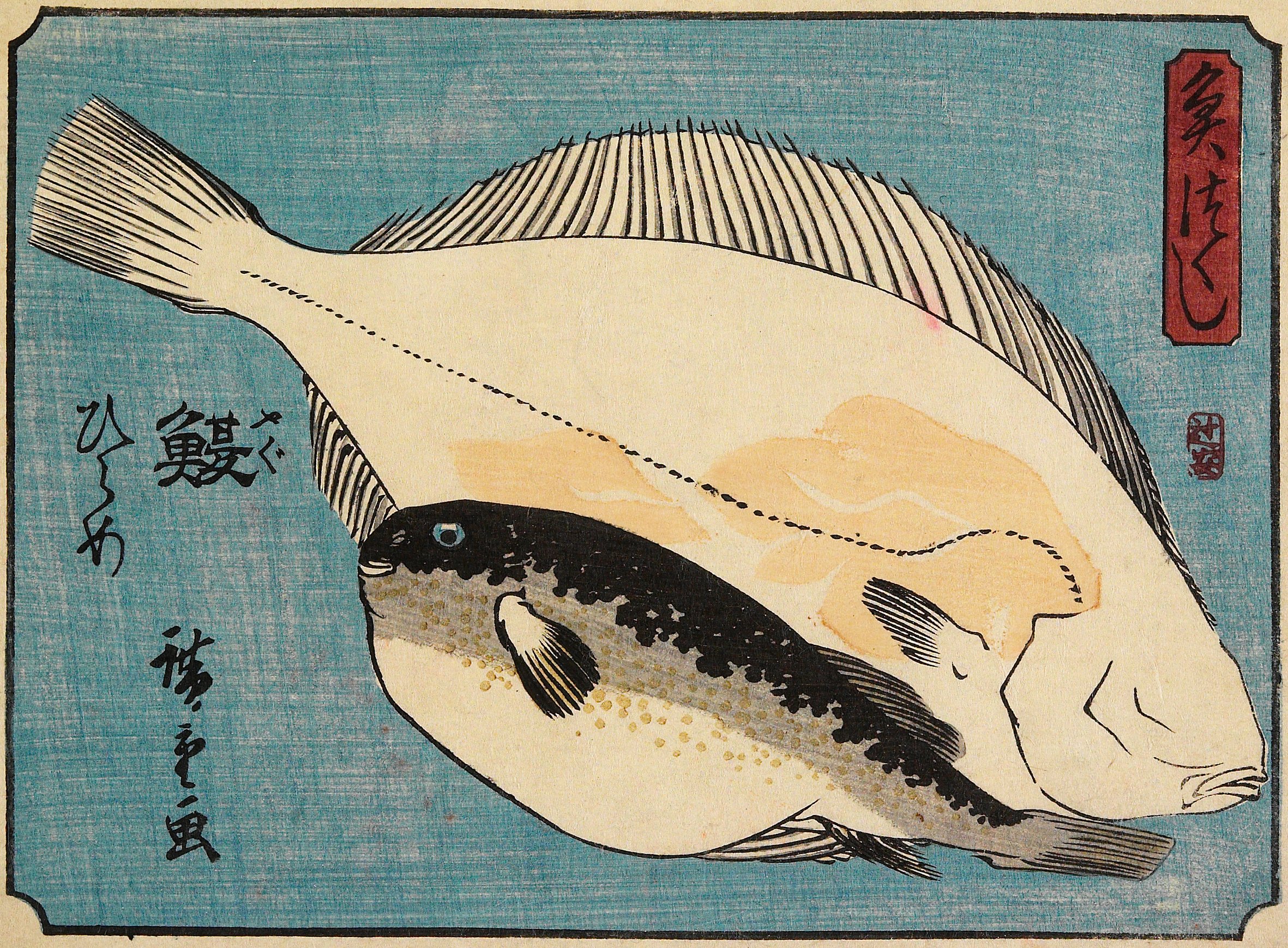 Hiroshiges - Globefish and Flounder - A Collection of Fish (1835-39)