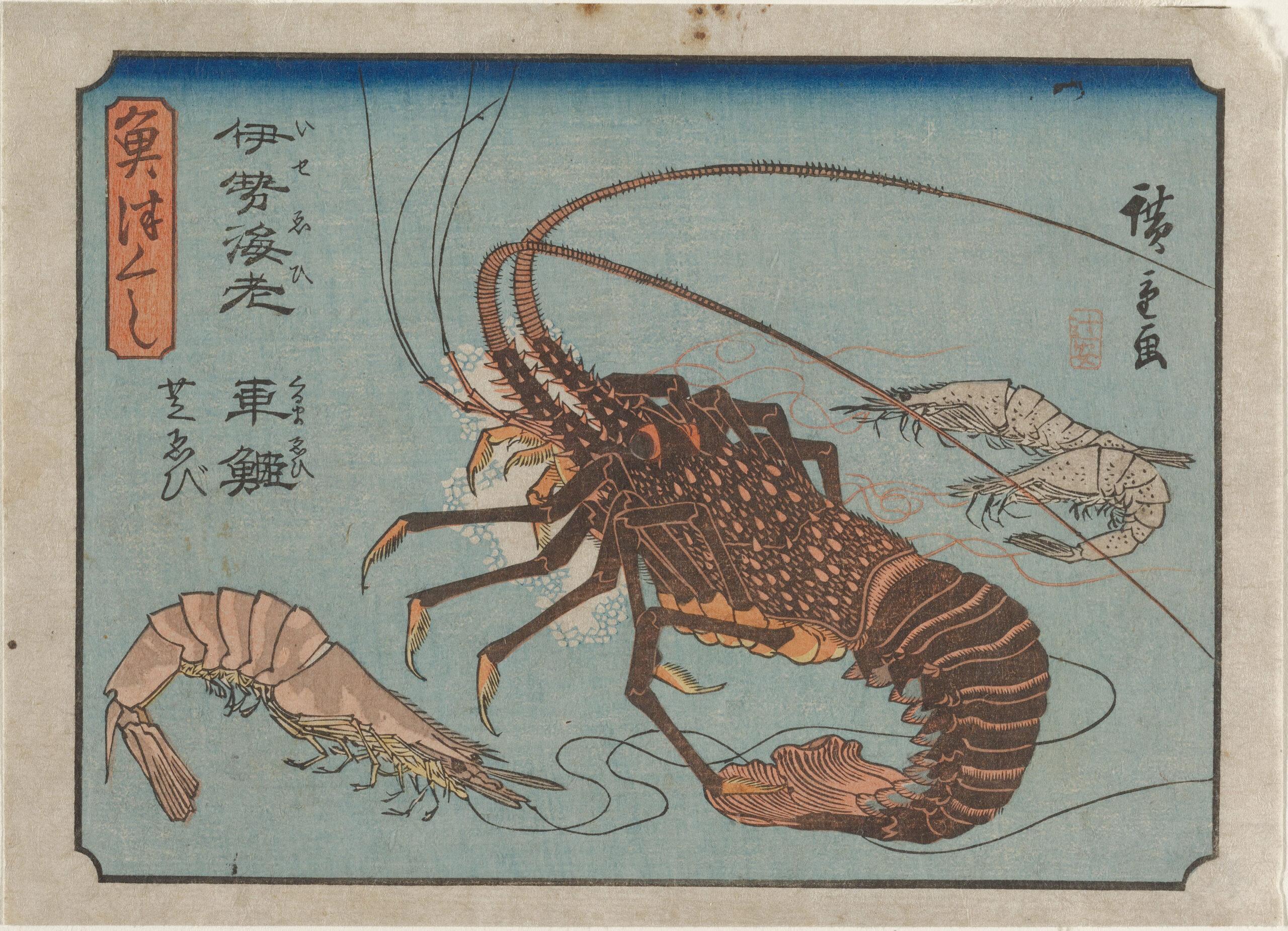 Hiroshiges - Lobster, Prawn and Shrimps - A Collection of Fish (1835-39)