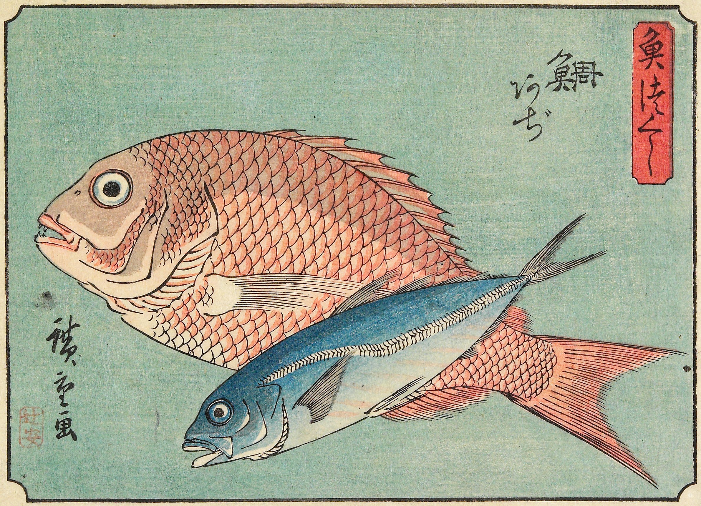 Hiroshiges - Snapper and Horse Mackerel - A Collection of Fish (1835-39)