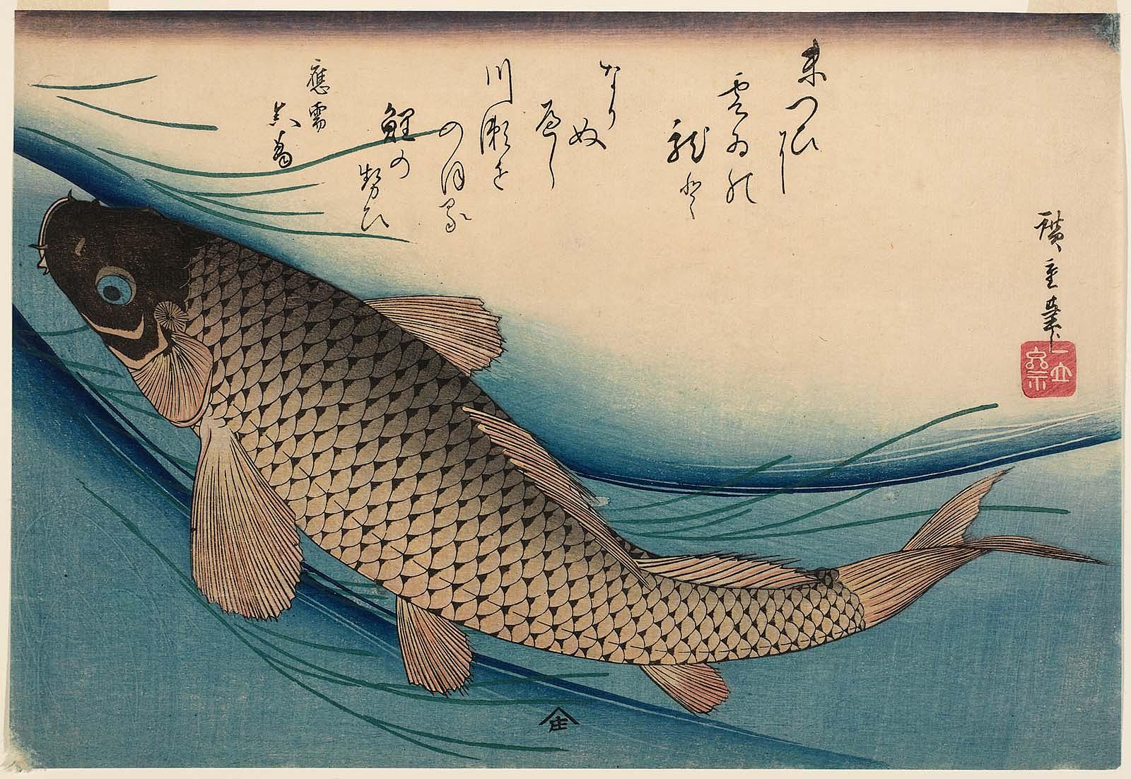 Hiroshiges - Carp - Grand Series of Fishes (1832-33 & 1840-42)