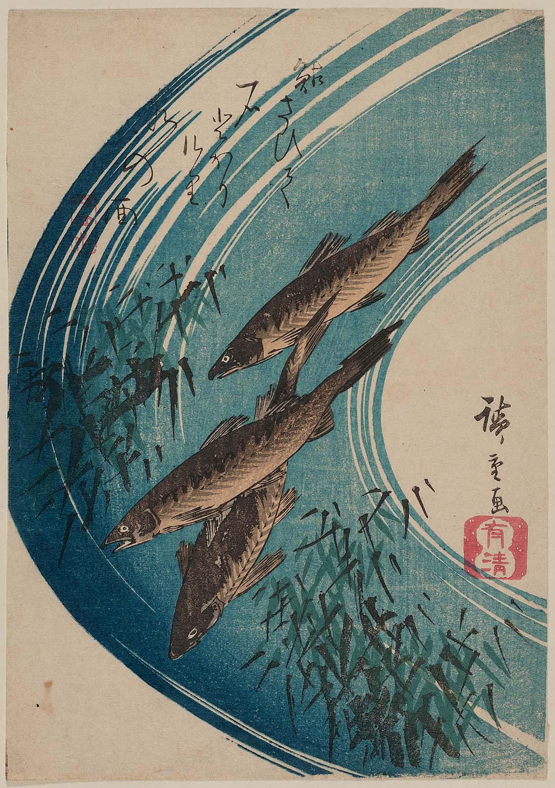 Hiroshiges - Sweetfish Swimming in a Clear Stream - Miscellaneous Fish Prints: Chūban Format