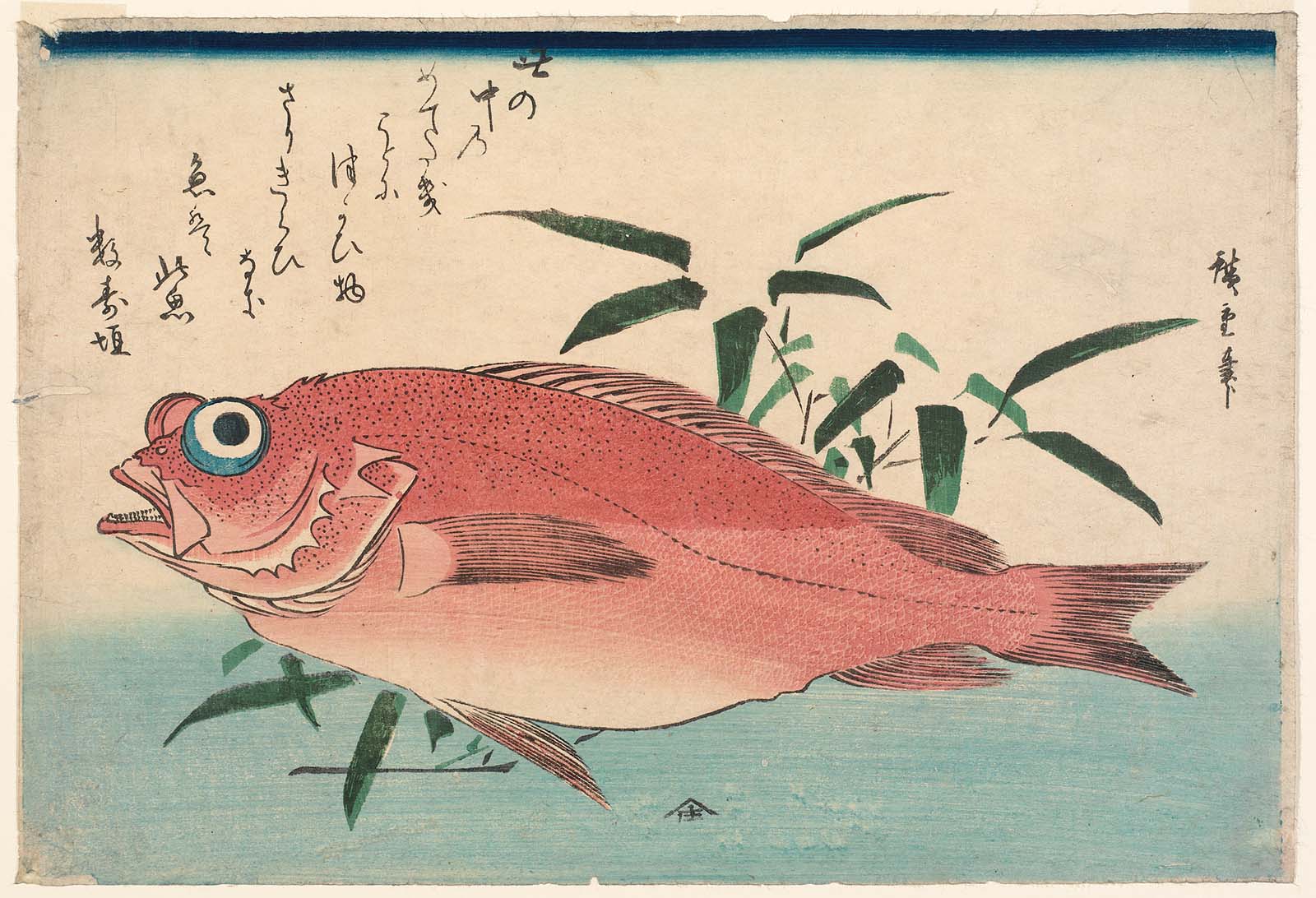 Hiroshiges - Goggle-eyed Sea Bream and Bamboo Grass - Grand Series of Fishes (1832-33 & 1840-42)